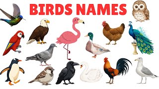 Birds Names for Kids 🐦 | Learn Bird Names with Pictures &amp; Sounds | Happy Kids Academy