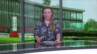 Jessica Pyfer gives an analysis of the Pimlico Special