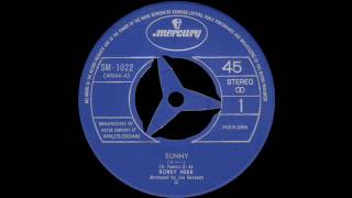 Video thumbnail of "Bobby Hebb - Sunny"