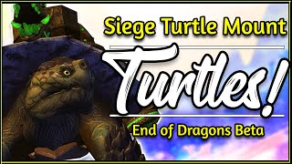 Siege Turtles! How do they work in Guild Wars 2 | Beta Gameplay