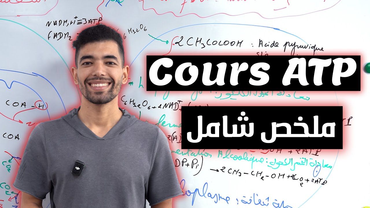 ِConsommation de la matière organique et flux d'énergie | 2 BAC | '' Résumé complet '' ملخص شامل