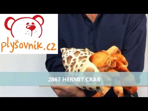 Video: Rak poustevníček