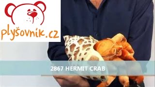 Rak poustevníček v akci