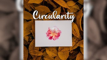 Alexander Muhl - Circularity [Official Music Video]