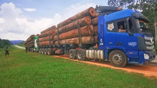 Lori Kayu Balak Malaysia