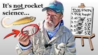Five Simple Steps That Will DOUBLE Your Catch Rate On Soft Plastics! screenshot 5
