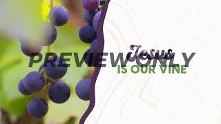 Abide In Me Bumper Preview