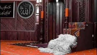 Bahar Bi̇tti̇ Mevsi̇mi̇mi̇z Güz Oldu