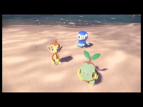 pokémon "Piplu Step"
