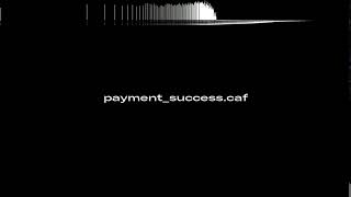 payment success