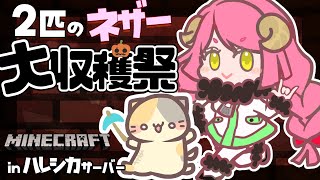 ひつじメイさんといっしょ！✨inハレシカサーバー✨【マインクラフト/MINECRAFT VTuber むぅたま】