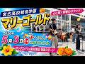 「マリーゴールド」宮古高校 軽音楽部 2026年5月3日 ちむどんこどもフェスタ【マックスバリュ 宮古南店 特設ステージ】