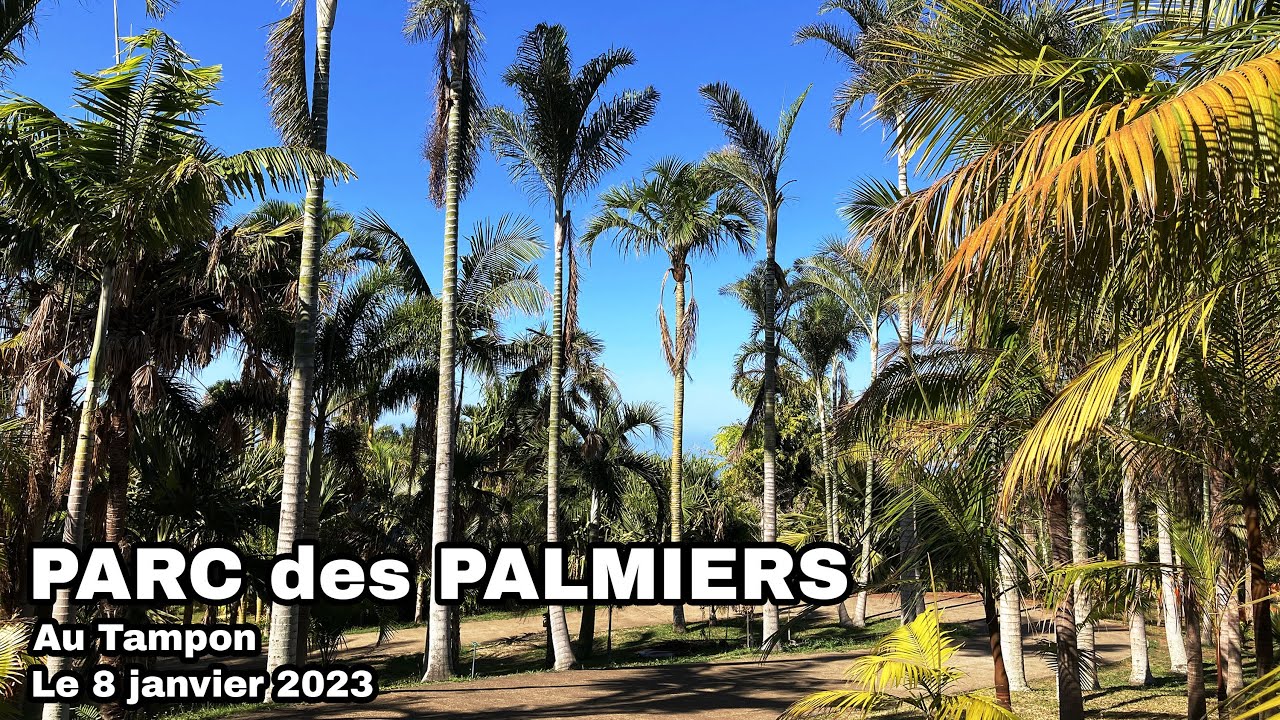 Parcours du Parc des Palmiers au Tampon