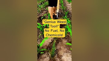 Simple Weed Removal Tool for Corn Farming: Smart, Eco-Friendly Farming Innovation!
