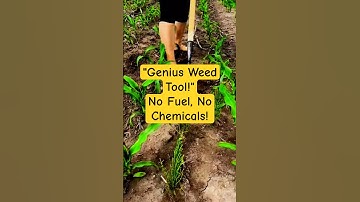 Simple Weed Removal Tool for Corn Farming: Smart, Eco-Friendly Farming Innovation!