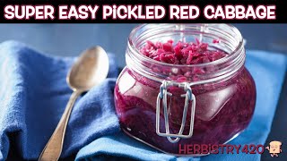 Super Easy Pickled Red Cabbage | Simple Healthy Garnish | Herbistry420