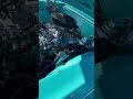 CLEAN ELCAMINO