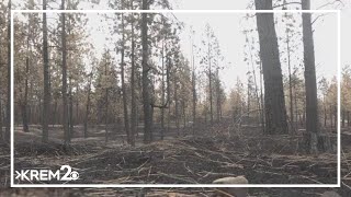 Celebrity DNR, local fire officials emphasize proactivity when combatting wildfires, limiting wildfire growth Net Worth