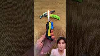copee a #diy #facts #automobile #funny #waterpark #art
