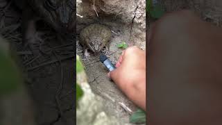 Funny Sounds That Will Make You Laugh