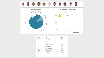 LineUp Visualization Video