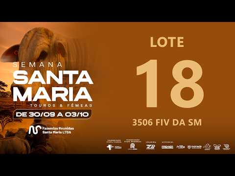 LOTE 18 FSM A3506