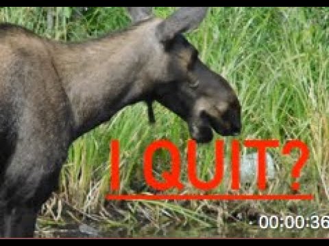 WHY I QUIT PARAMOTORING - YouTube