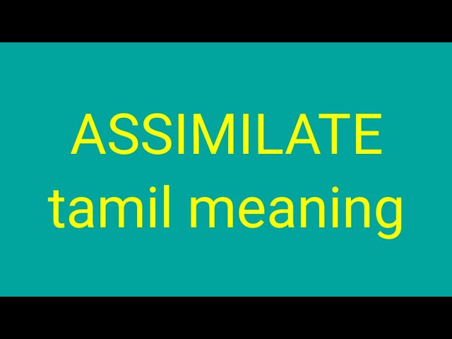 Assimilate Tamil Meaning Sasikumar Youtube