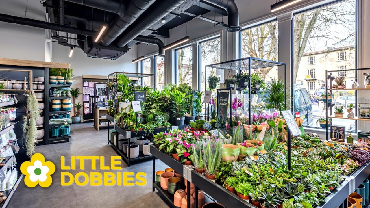 Little Dobbies Houseplant Displays by Stagecraft Display Ltd YouTube