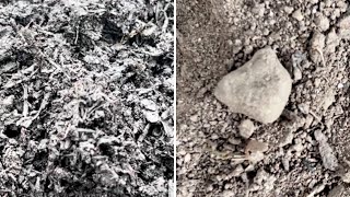 Ask OCRRA: What is the difference between compost and the dirt in my yard?