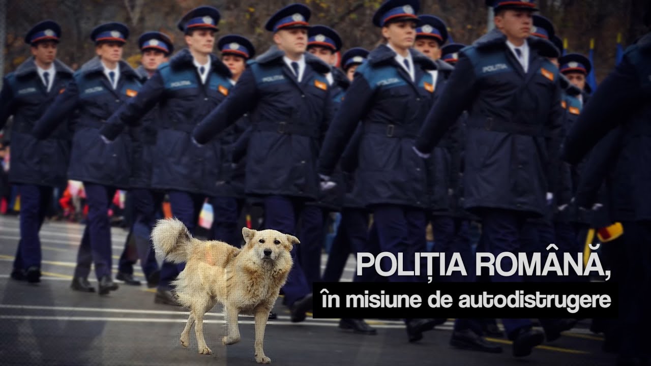 Poliția Română, în misiune de autodistrugere