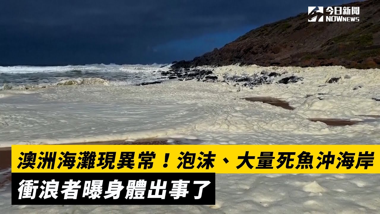 澳洲海灘現異常！泡沫、大量死魚沖海岸　衝浪者曝身體出事了｜NOWnews
