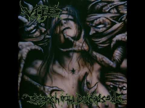 Vile Stench Of The Deceased 1999 Full Album 