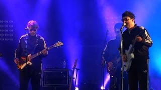 Eels - Kinda Fuzzy (Live) - Woodstower 2013, FR (2013/08/24)