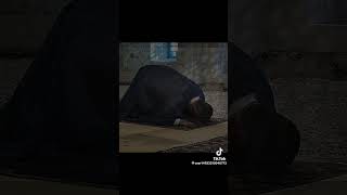 Haci Sahin Namaz Hakda