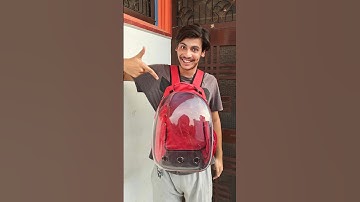 Caty Aur Girlfriend 💀😂 | Mini Vlog #shorts #minivlog #ashortaday #vlog #tranding #cats