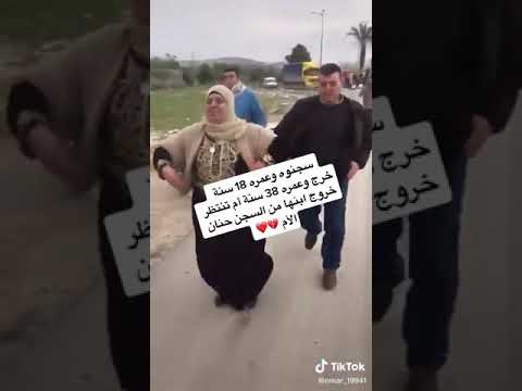 فيديو: لماذا يحكمون على عدة جمل مؤبد؟