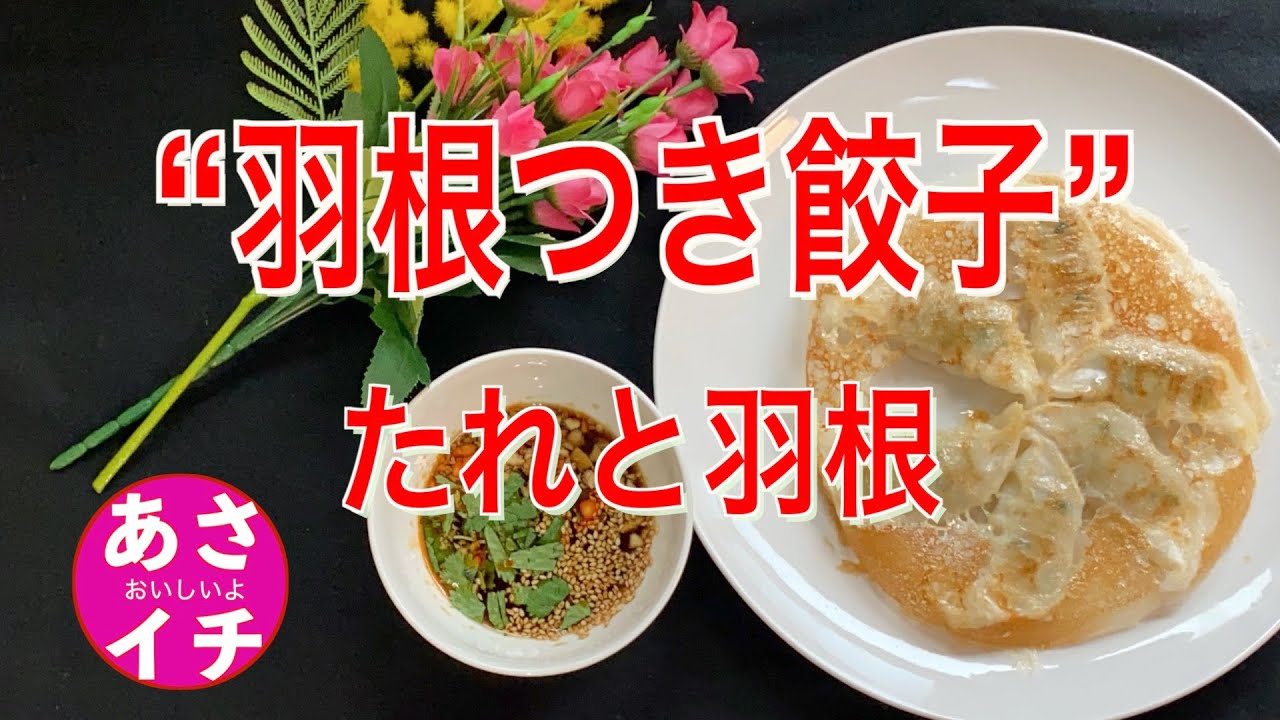 あさイチ 鎌倉名店の 餃子の皮 レシピ 極上焼きギョーザ レシピ 6 16