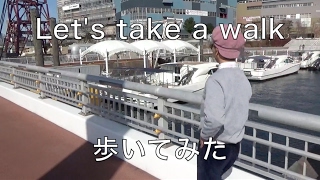 【歩いてみた】　Let's take a walk　豊洲公園　toyosu park