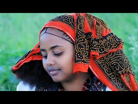 ትዝታኻ ድንቕንቕ ደርፊ Rayamusic Tigrignamusic