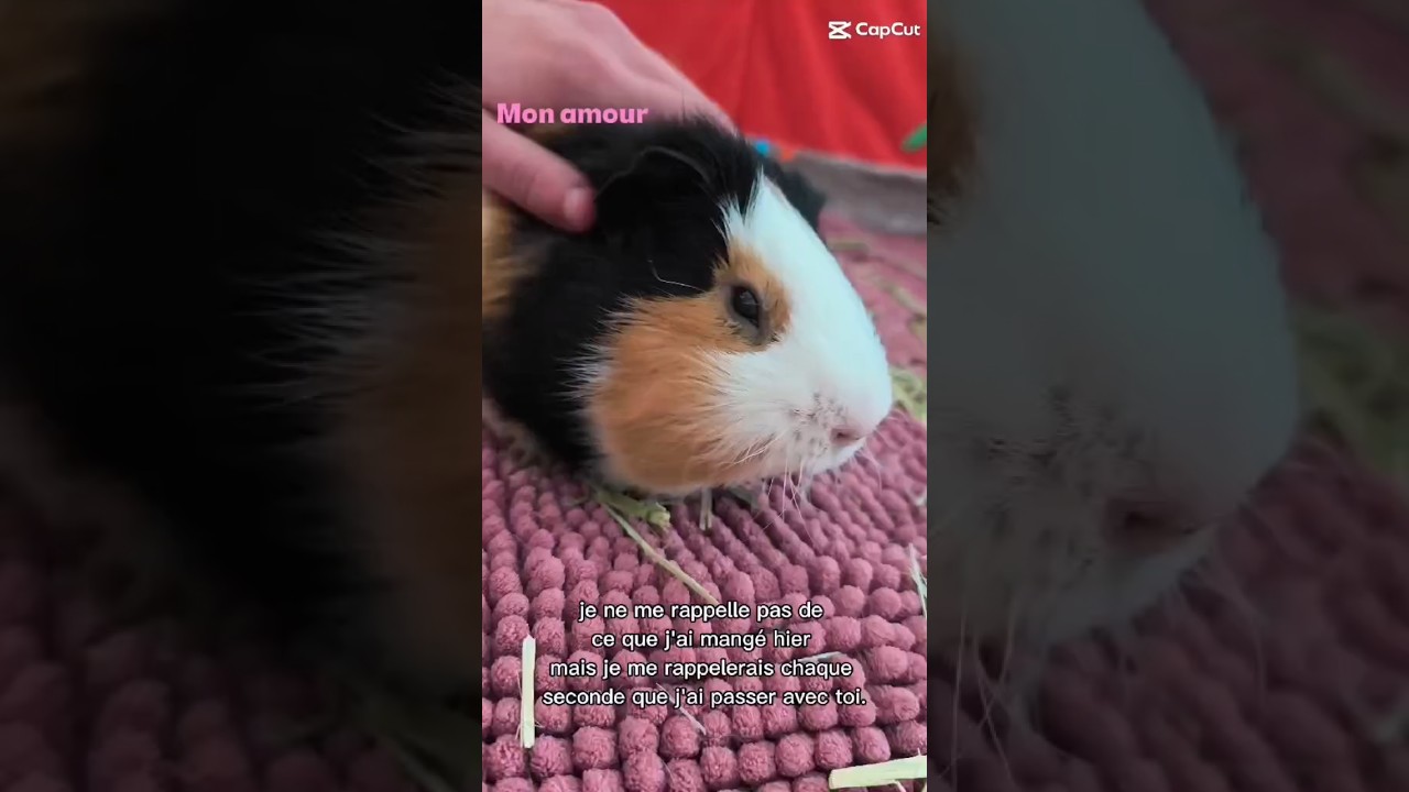Je me rappellerai de chaque secondes passer avec toi 💗