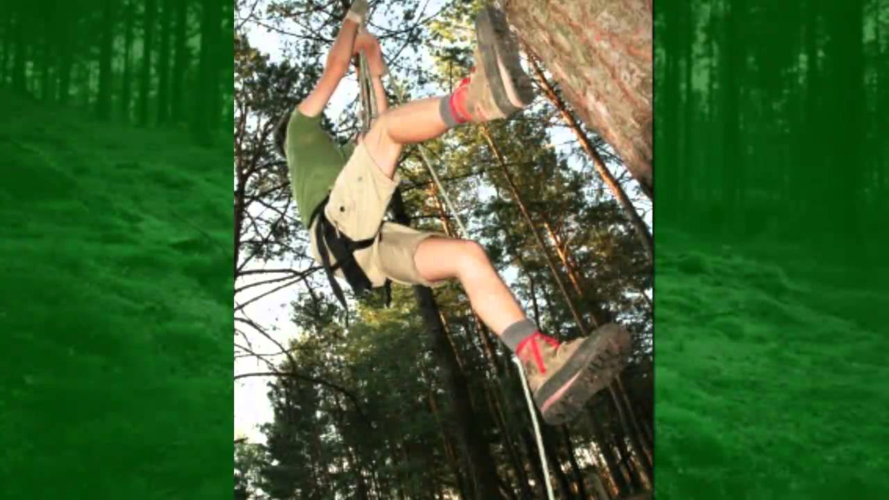 Tree Removal Wilsonville OR | 503-455-4777 | Wilsonville Tree Removal Service