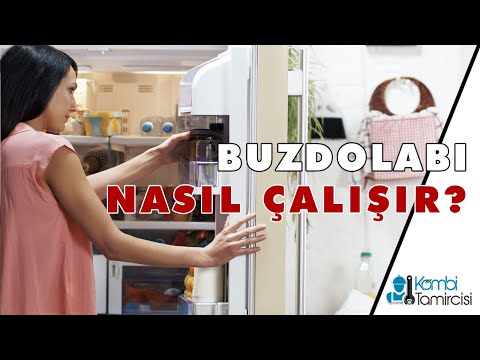 Buzdolabı Nasıl Çalışır