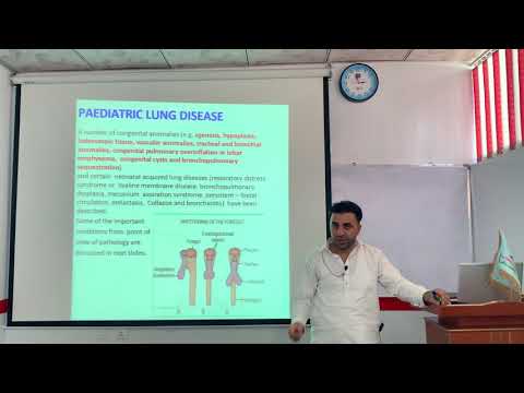 Cysts of lungs،branchiopulmonary sequestration,ARDS pashto دسږو سیسټونه پیدایشی جلاوالی اوا ارډی ایس