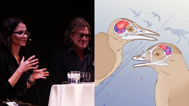 Which Came First - the Bird or the Bird Brain? - AMNH SciCafe