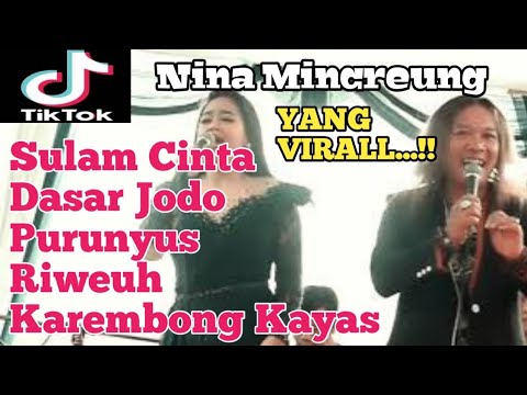 Album Lagu Sunda Bajidor, Nina Mincreung Virall Di Tik Tok