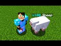 IK MOET 400 SCHAPEN SCHEREN ALS OPDRACHT! - Minecraft Skyblock