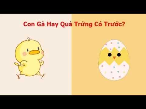 Con gà có trước hay quả trứng có trước: 90% câu trả lời sai - youtube