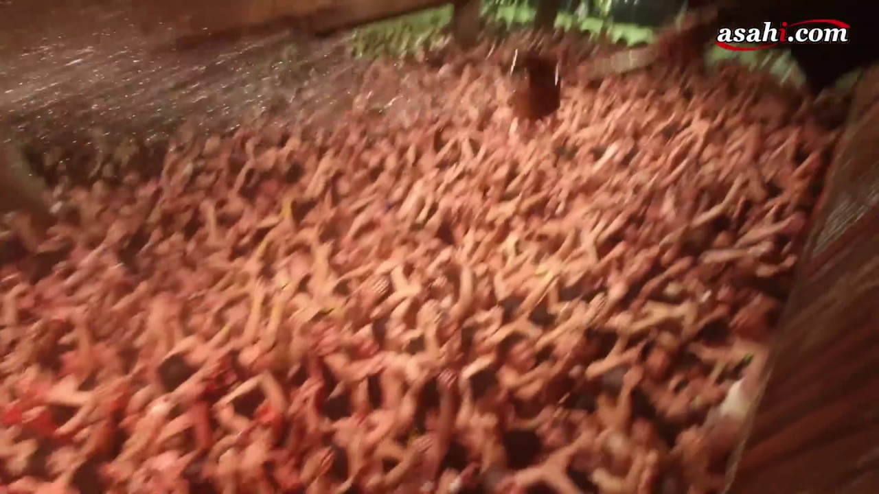 西大寺会陽　裸ひしめく奇祭