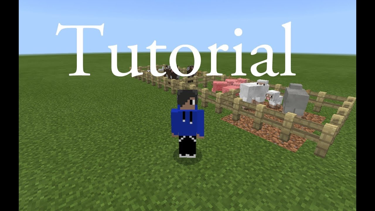 How to tame and breed animals - Minecraft PE - YouTube